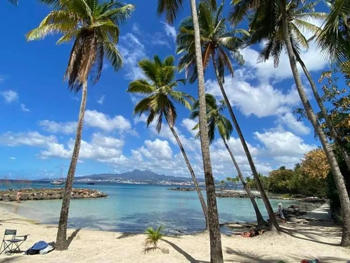 Maison F2 Aux Trois-Ilets Avec Linge Fourni Et Menage Inclus - Fr-1-765-8 Les Trois-Ilets 0*,  Martinique
